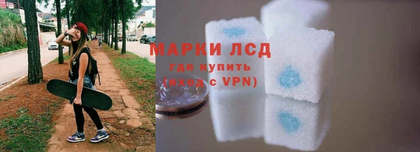 стафф Аркадак