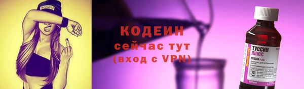 трава Арсеньев