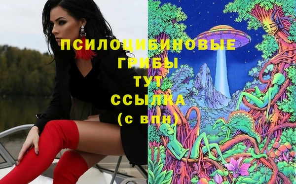 стафф Аркадак