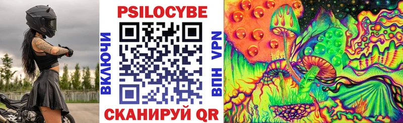 МЕГА рабочий сайт закладки Междуреченск Псилоцибиновые грибы Cubensis