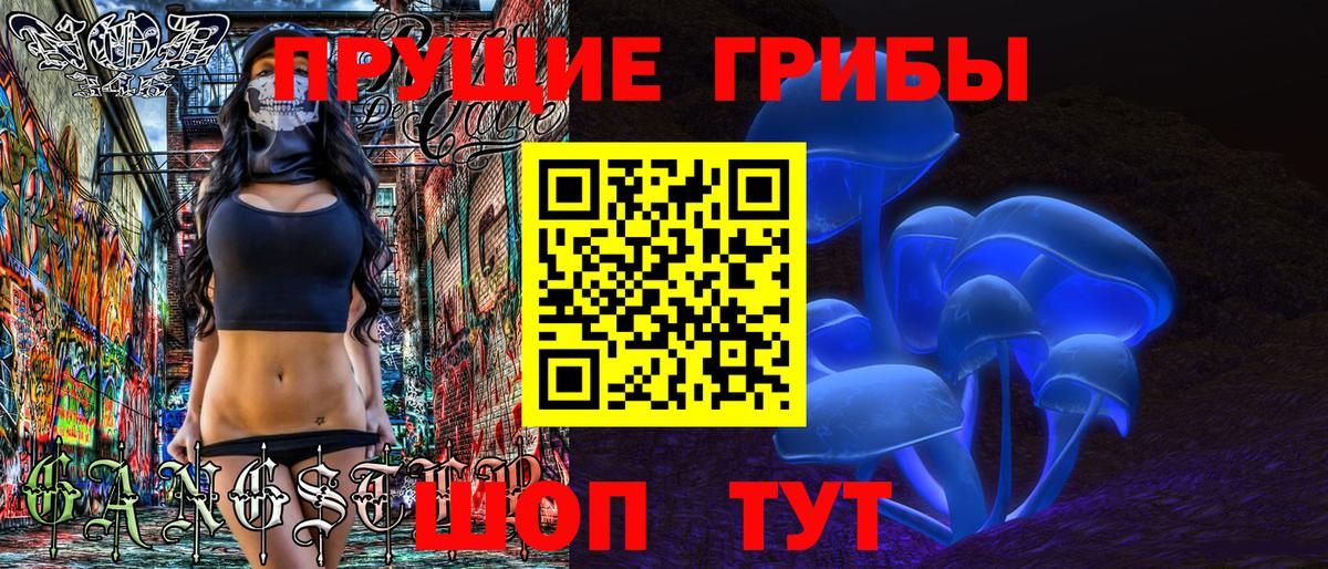 Галлюциногенные грибы Psilocybine cubensis Междуреченск
