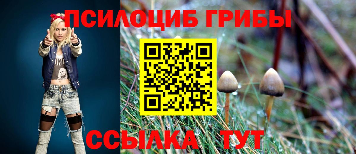 Галлюциногенные грибы MAGIC MUSHROOMS  Вход с VPN  Междуреченск 